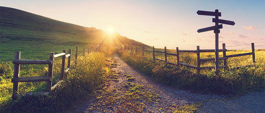 Path up into the hills with signpost and sun glare