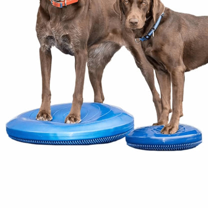 FitPAWS Pet Balance Disc 36 cm Blue