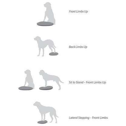 FitPAWS Pet Balance Disc 36 cm Blue