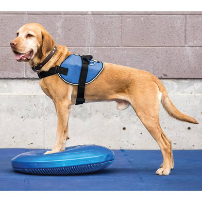 FitPAWS Pet Balance Disc 36 cm Blue