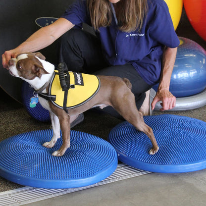 FitPAWS Pet Balance Disc 56 cm Blue