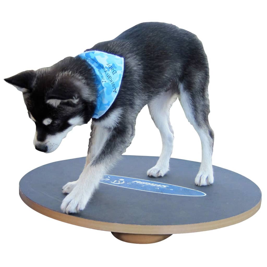 FitPAWS Wobble Board 50 cm Black