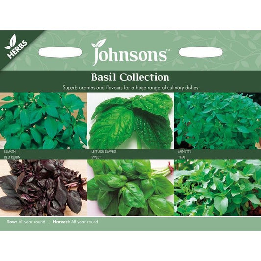 Johnsons Collections Basil