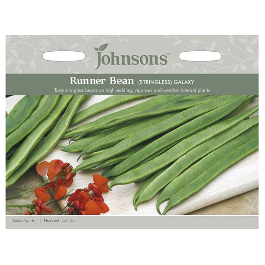 Johnsons Runner Bean Stringless Galaxy Seeds