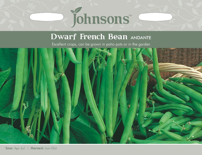 Johnsons Dwarf French Bean Andante Seeds