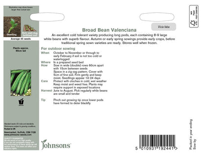 Johnsons Broad Bean Valenciana Seeds