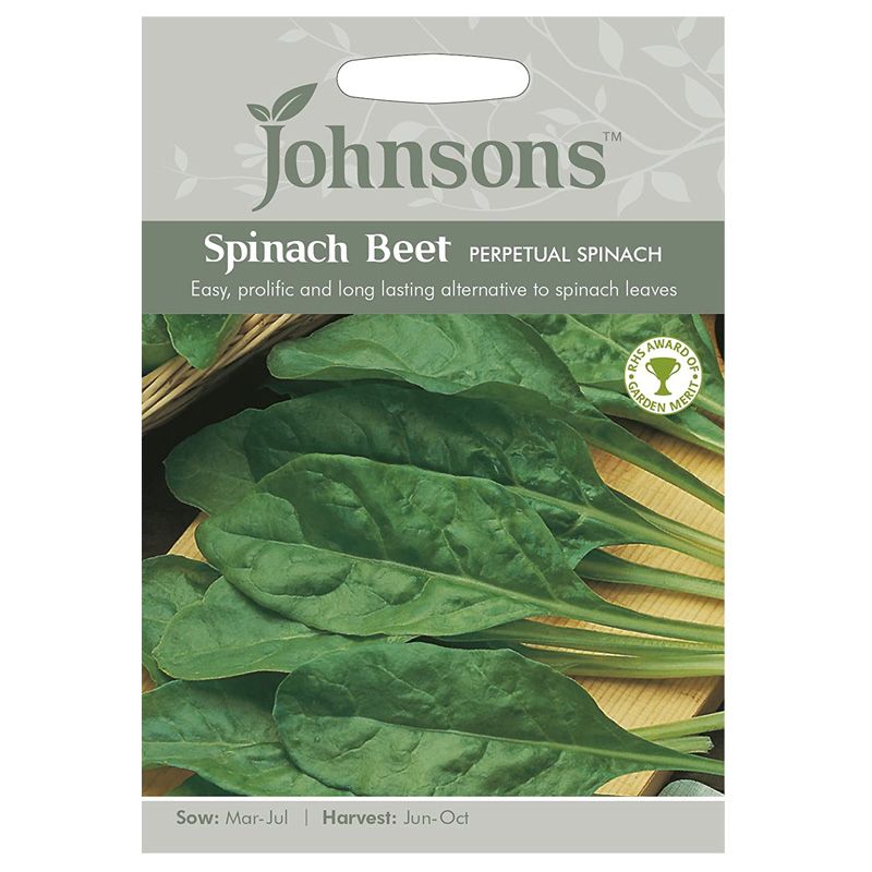 Johnsons Spinach Beet Perpetual Spinach Seeds