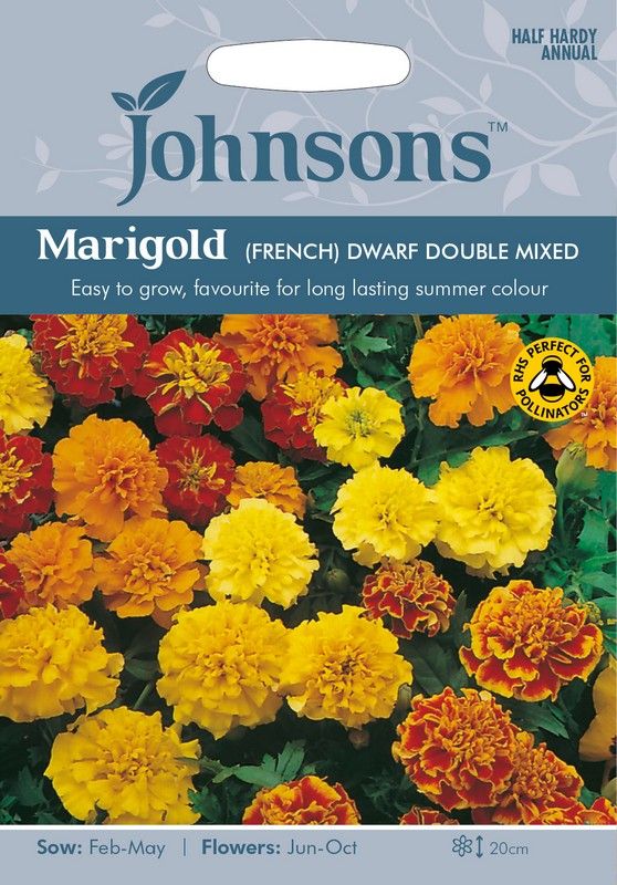 Johnsons Marigold French Dwarf Seeds