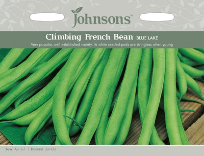 Johnsons Climbing Bean Blue Lake Seeds