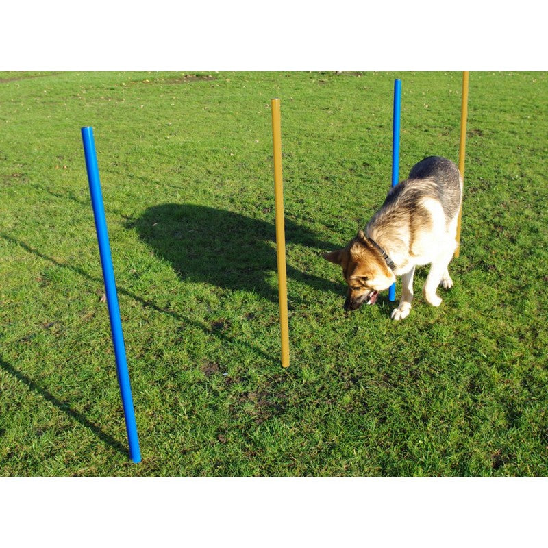 Dog Agility Slalom Poles Pack 5 by Pet Brands