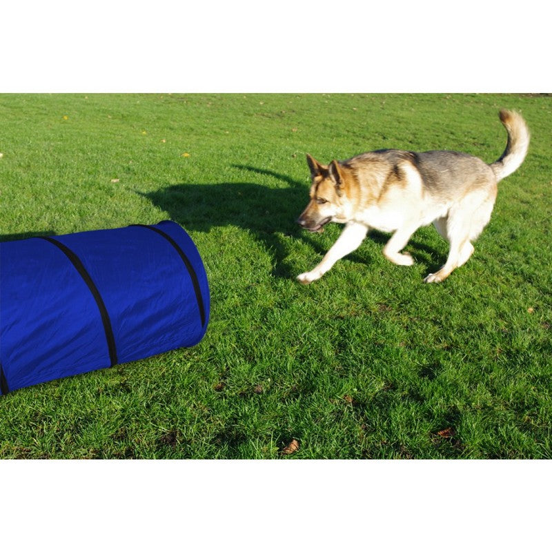 Dog Agility Tunnel by Pet Brands