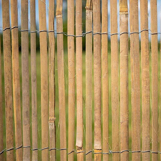 Bamboo Screening Panel 2 x 3m