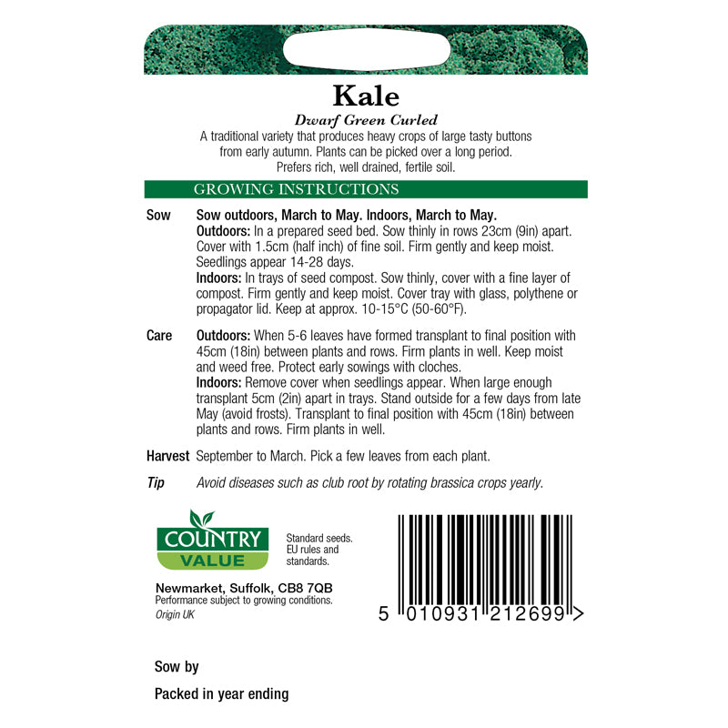 Country Value Kale Dwarf Green Curled Seeds