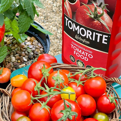 Levington Tomorite 1.2L Tomato Food