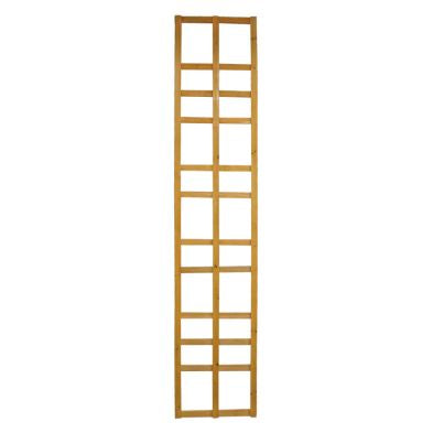 Slim Trellis Garden Panel Climbing Plant Support 5 x1 Foot