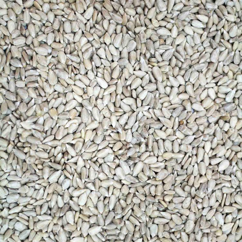 Sunflower Hearts Wild Bird Seed 12.55kg