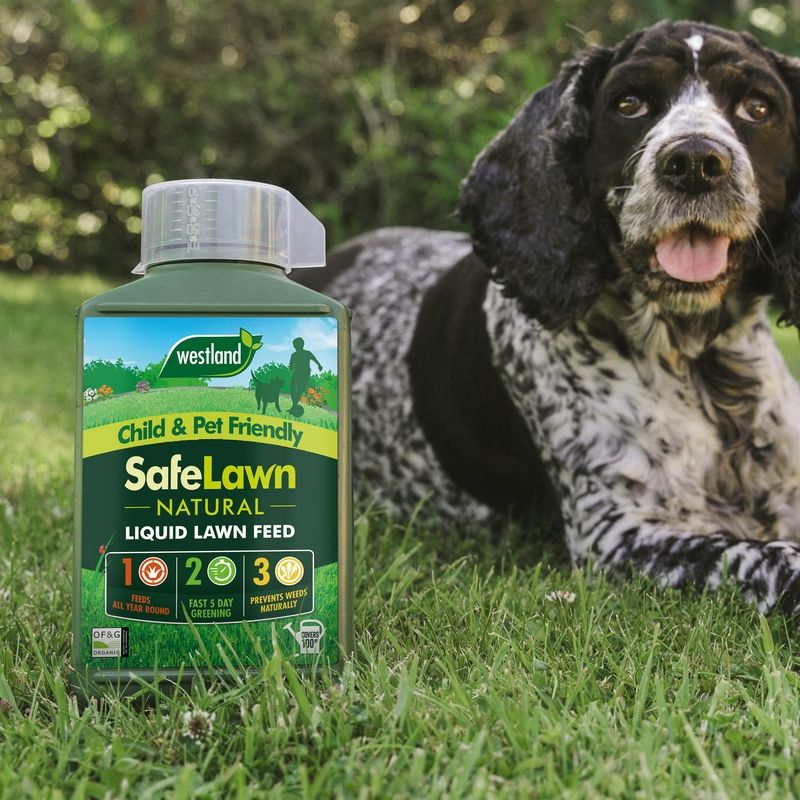 SafeLawn Liquid Natural Lawn Feed - 1 litre 100sqm