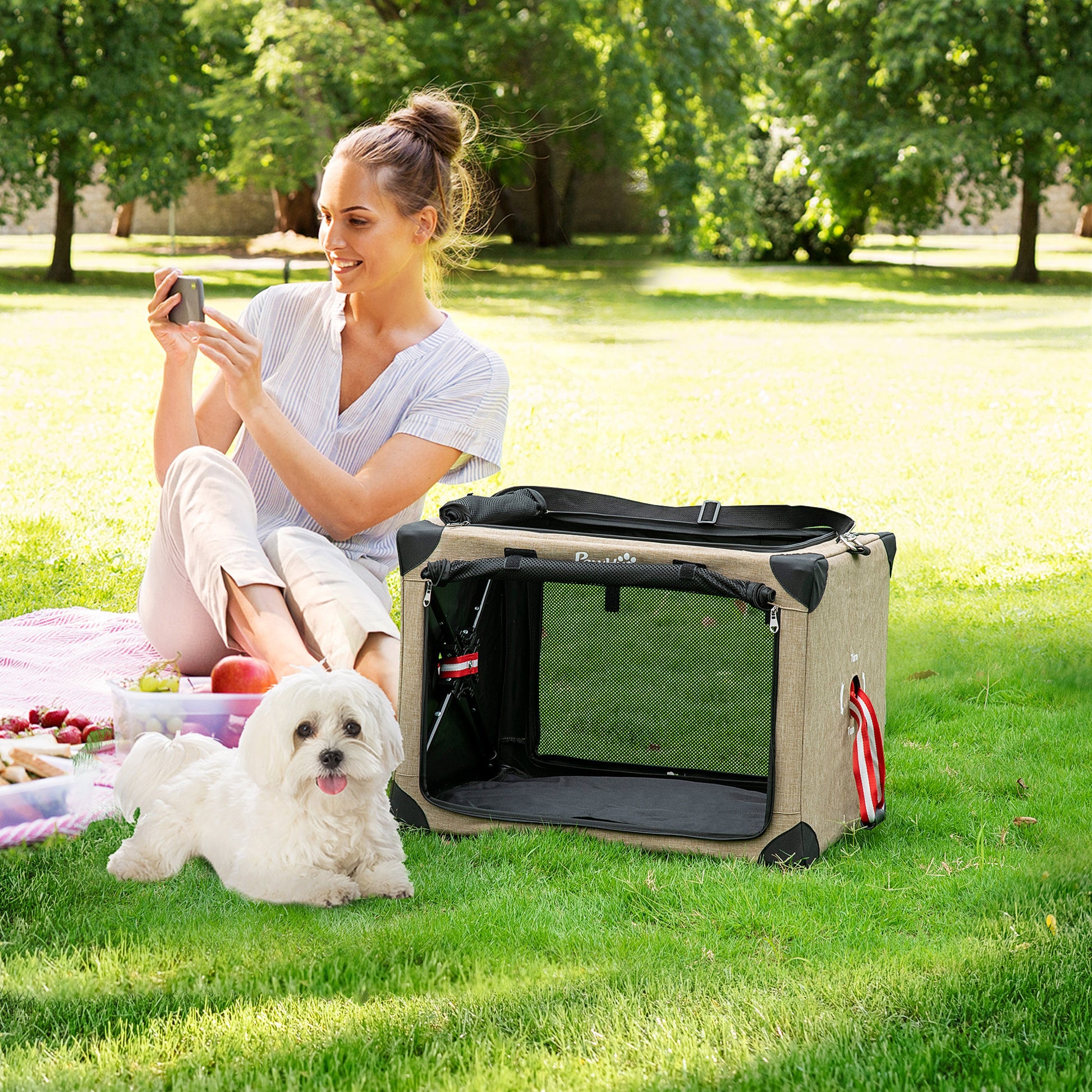 PawHut One-step Folding Cat Carrier