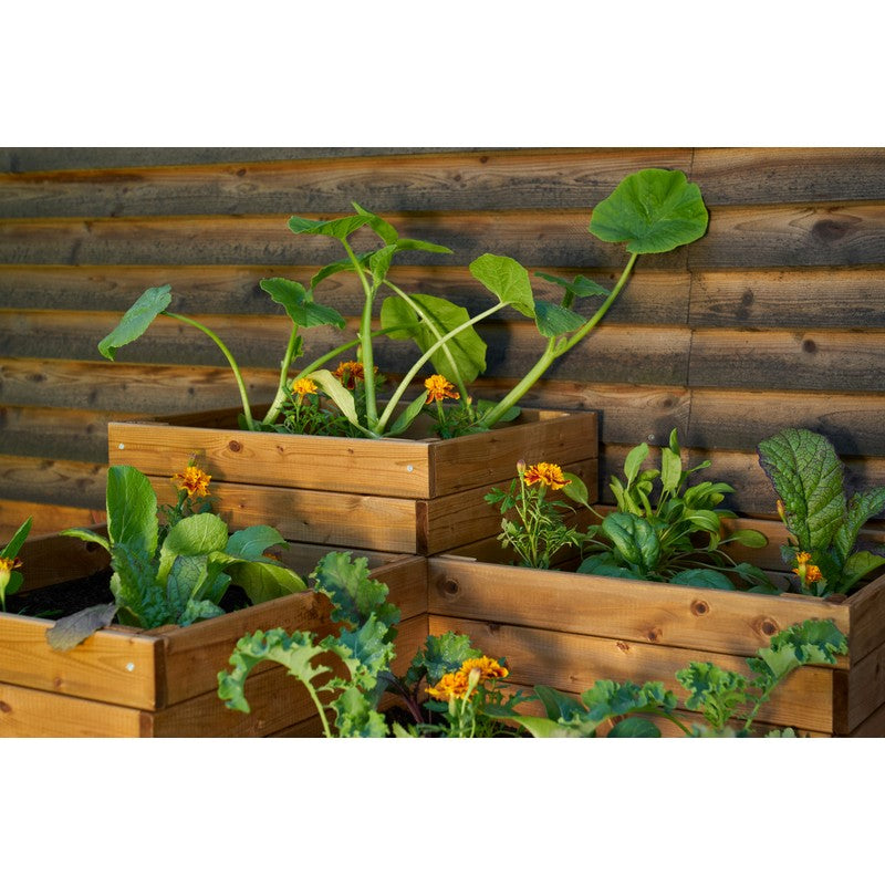 Four Section Planter - Brown by EKJU