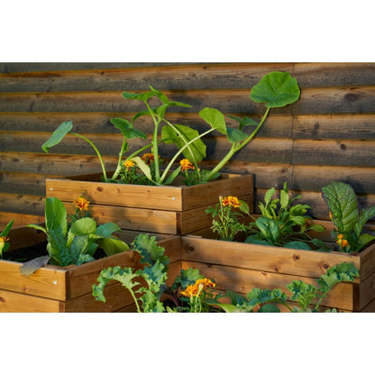 Four Section Planter - Brown by EKJU