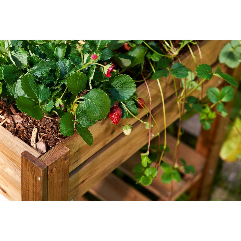 Four Section Raised Planter - Brown by EKJU