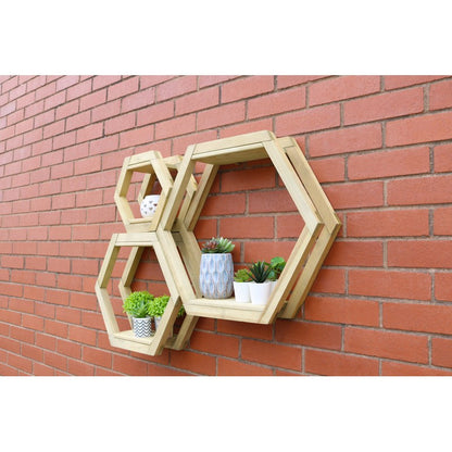 Honeycomb Garden Shelf Set by Zest