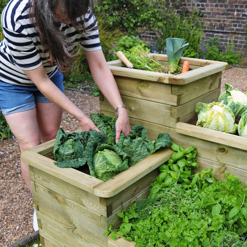 4 Tier Garden Planter by Zest