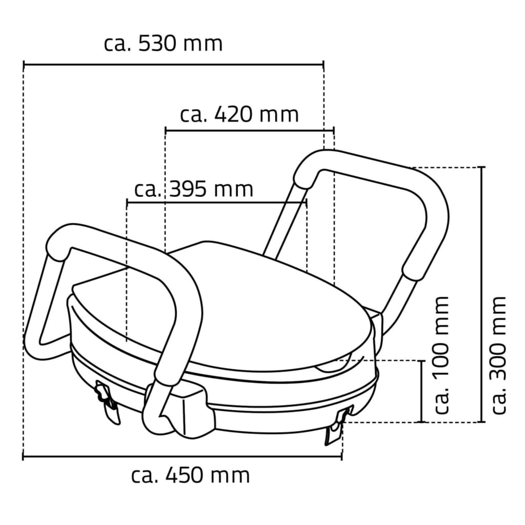 RIDDER Toilet Seat with Safety Grab Rail White 150 kg A0072001