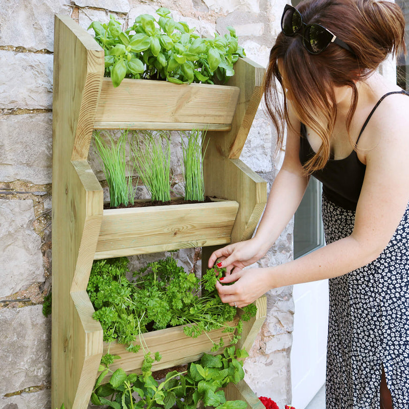 Essentials Garden Trough Planter by Zest