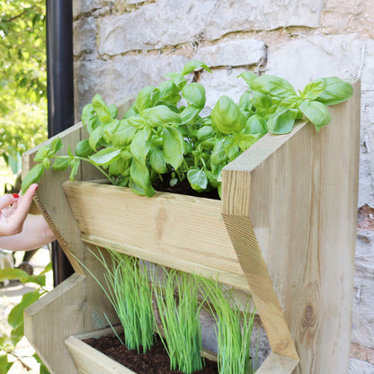 Essentials Garden Trough Planter by Zest