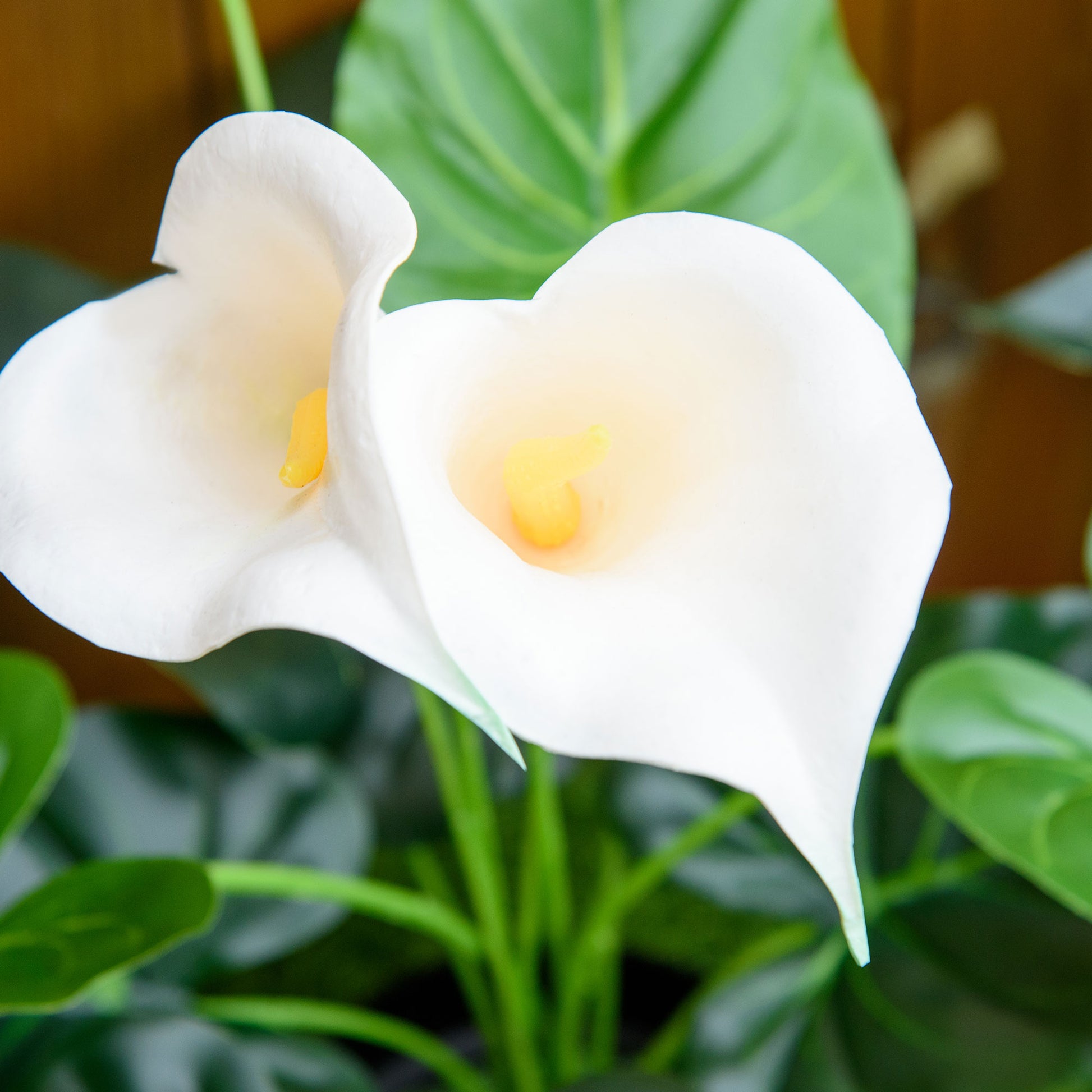 Homcom Set of 2 Artificial Realistic Calla Lily Flower