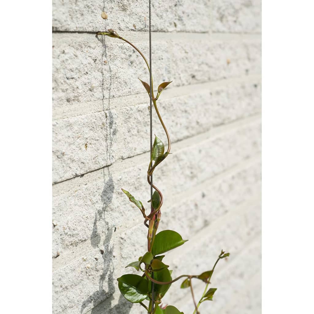 Nature Wire Trellis Set for Climbing Plants 6040760