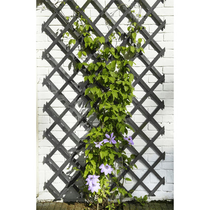 Nature Garden Trellis 50x150 cm Wood Anthracite