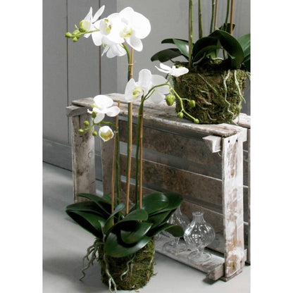 Emerald Artificial Phalaenopsis Orchid 70 cm White