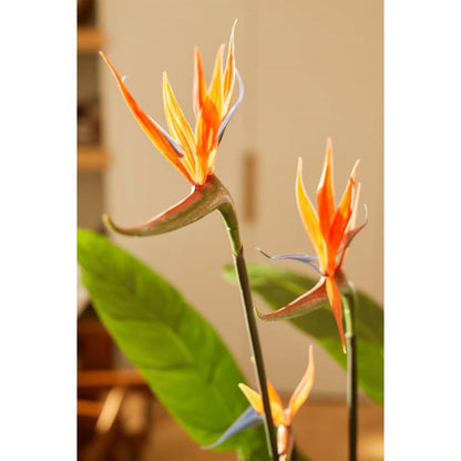 Emerald Artificial Plant Strelitzia in Pot with Flowers 120 cm