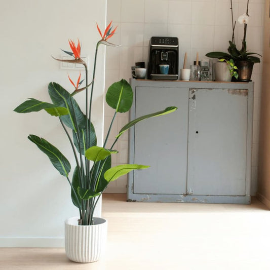 Emerald Artificial Plant Strelitzia in Pot with Flowers 120 cm