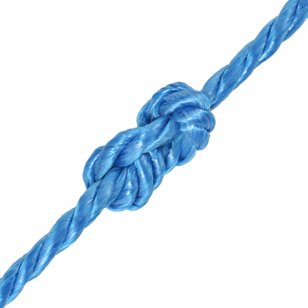 Twisted Rope Polypropylene 10 mm 100 m Blue