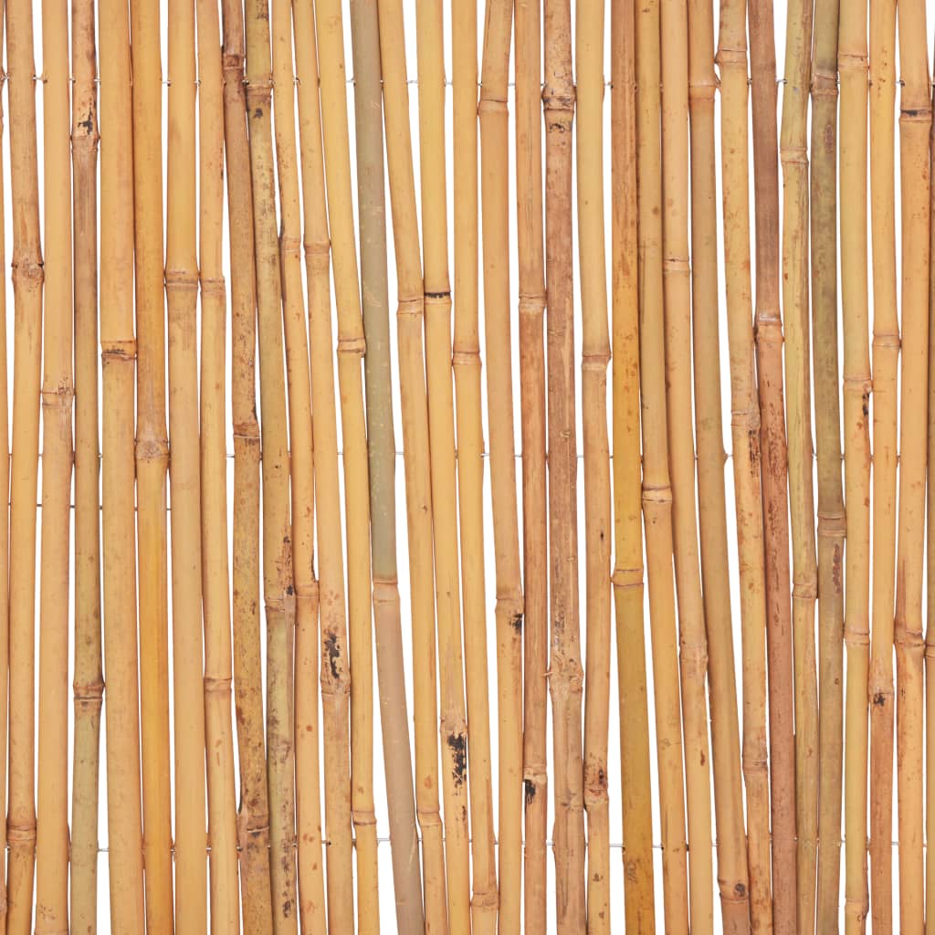 Bamboo Fence 500x30 cm