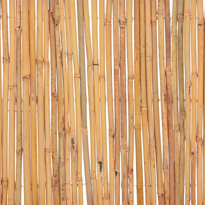 Bamboo Fence 500x30 cm