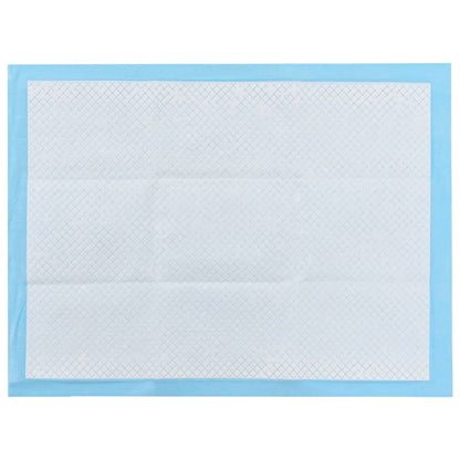 Pet Training Pads 100 pcs 60x45 cm Non Woven Fabric