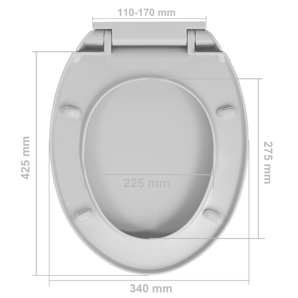 Soft-Close Toilet Seat Quick Release Light Grey Oval