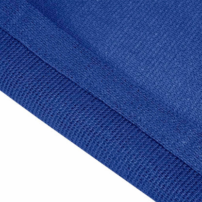 Tent Carpet 400x500 cm Blue HDPE