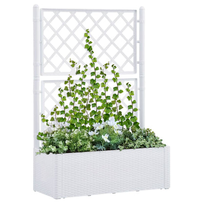 Garden Raised Bed with Trellis and Self Watering System White