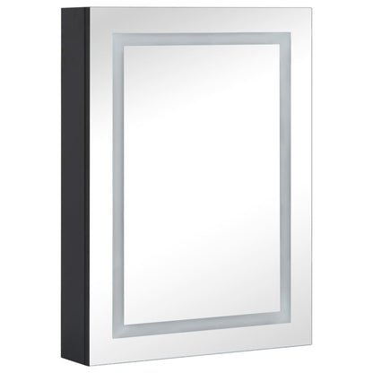 LED Bathroom Mirror Cabinet 50x13x70 cm