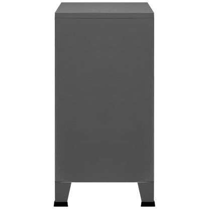 Industrial Storage Chest Anthracite 75x40x80 cm Steel