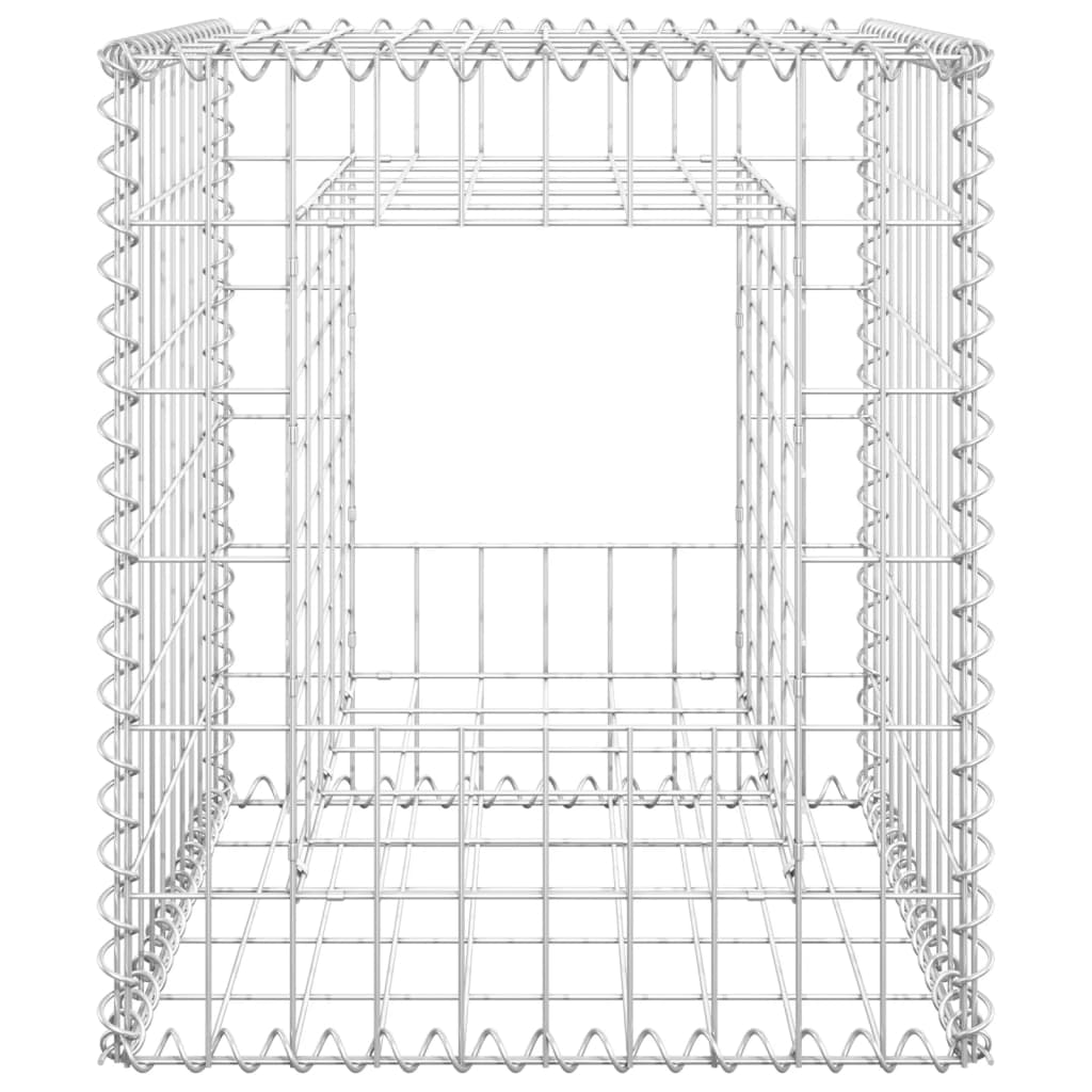 Gabion Basket Posts 2 pcs 50x50x60 cm Iron