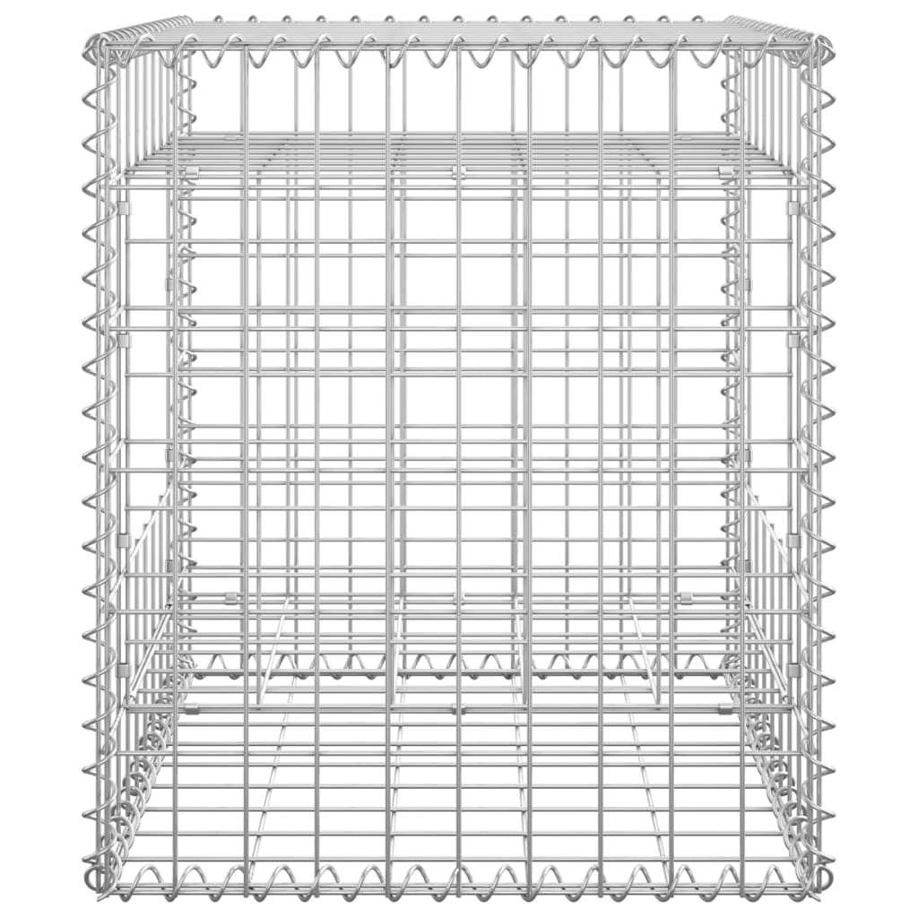 Gabion Basket Posts 2 pcs 50x50x60 cm Iron