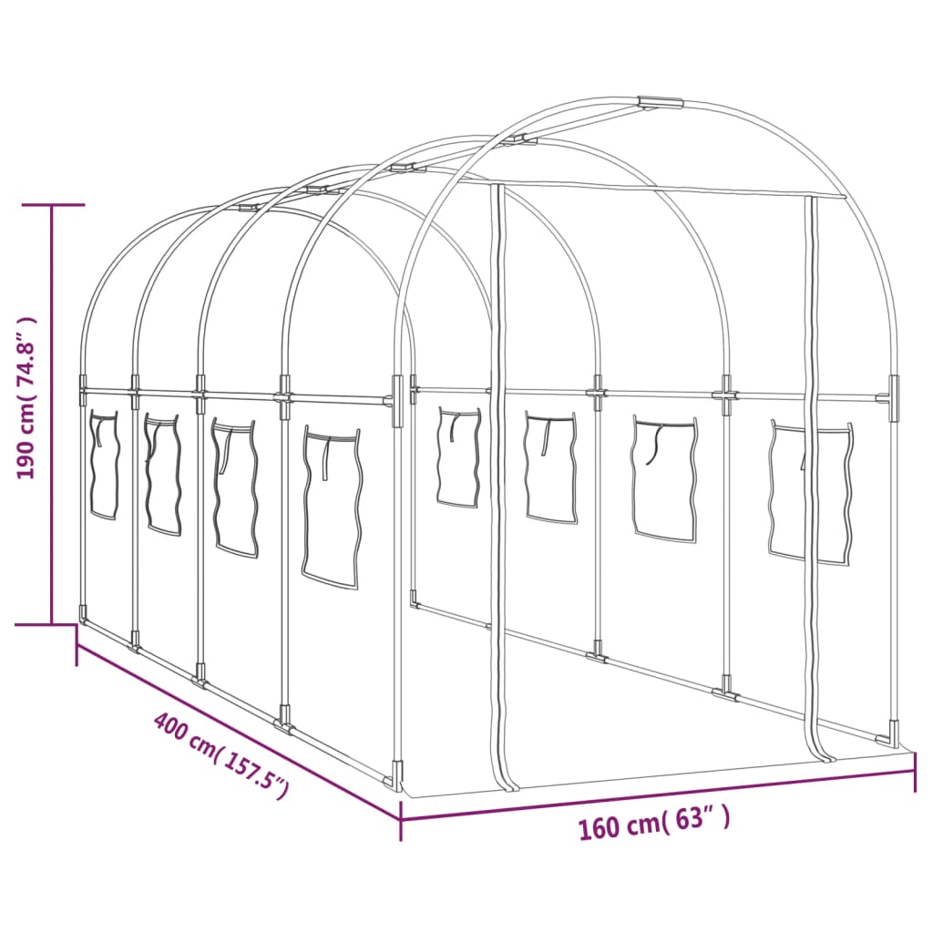 Greenhouse Transparent 160x400x190 cm PVC&Powder-coated Steel