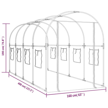 Greenhouse Transparent 160x400x190 cm PVC&Powder-coated Steel