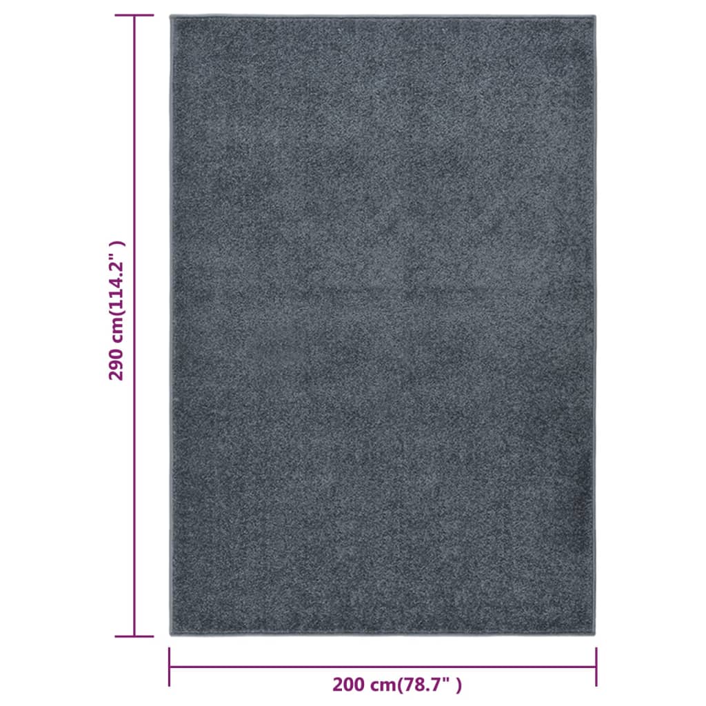 Rug Short Pile 200x290 cm Anthracite